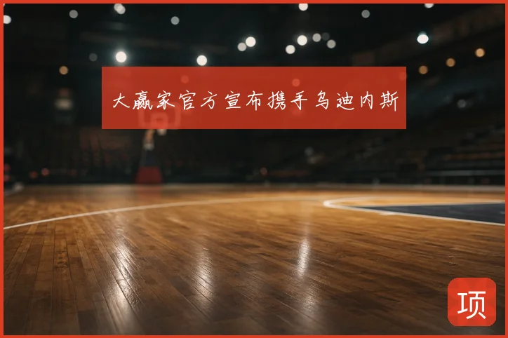 大赢家官方宣布携手乌迪内斯
